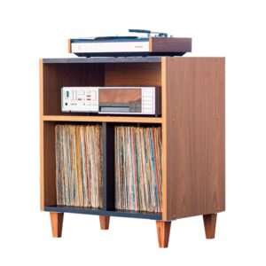 Estante-rack-para-120-discos-LPs-e-aparelhos-EV-308-1