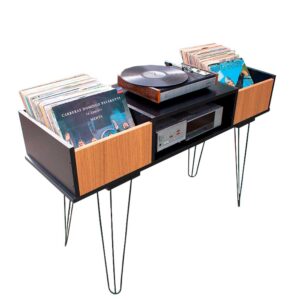 Estante-Rack-Para-Disco-de-Vinil-e-Aparelhos--EV-326-5