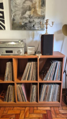 estante para discos de vinil cin 001