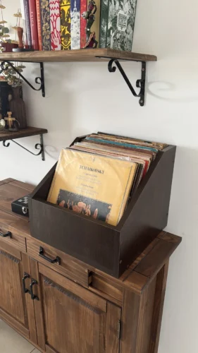 nicho para discos lps vinil bin1