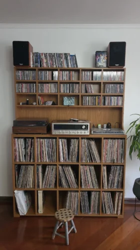 estante reforçada para discos lps e cds feito com mdf 18mm | especial 01