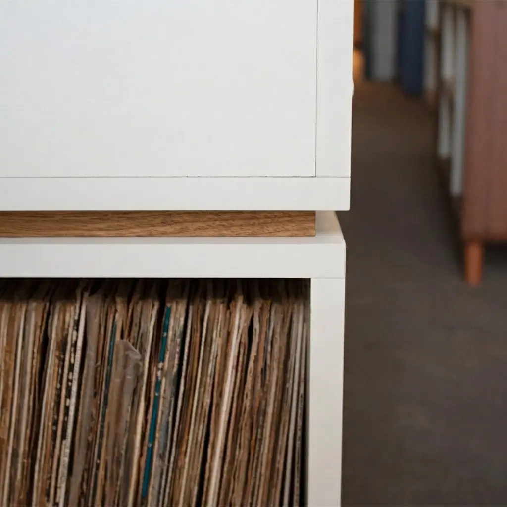 estante expositor para discos de vinil lps | v 900