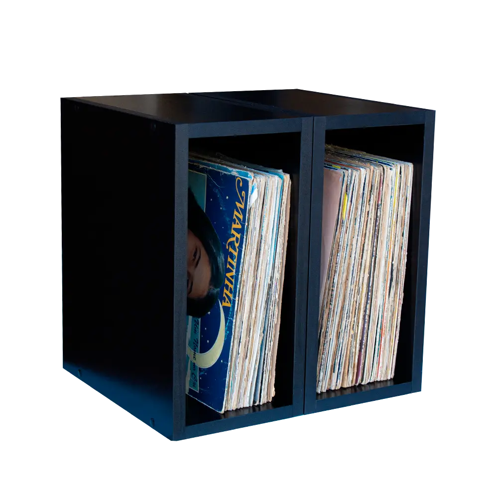 kit 02 nicho para discos de lps