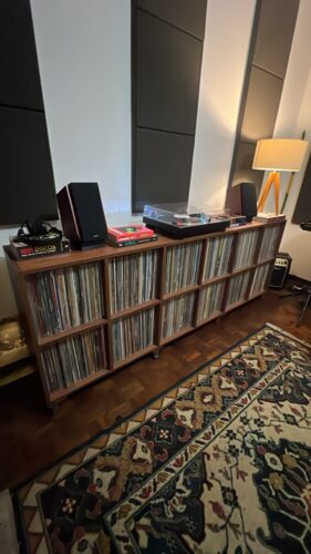 estante para discos de vinil er 3000