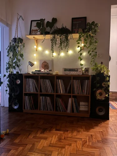 estante para discos de vinil cin 001
