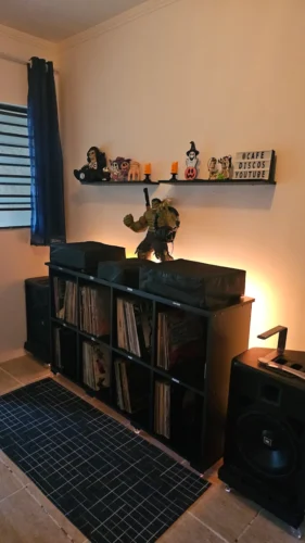 rack vinil