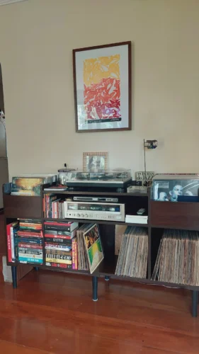 estante rack para lps vinil e aparelhos tupis