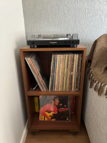 estante para disco de vinil lps com 2 nichos ev 213